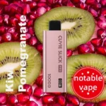 HQD Slick Pro – Kiwi Pomegranate – 10,000